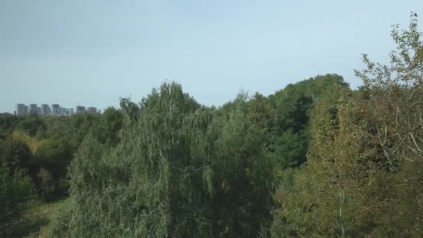 Podzim Městském Parku Stromech Jsou Vidět Žluté Listy Letecká Fotografie — Stock video