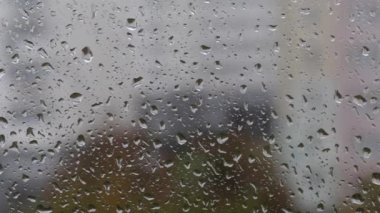 Pencere camları yağmur damlalarında. Damlalar camdan aşağı akıyor. Pencerenin dışında, çok katlı binalar odak dışı. Sonbahar ağaçları rüzgarda sallanıyor. Yakın çekim.