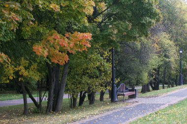 Parkta kirli bir patika ve eski bir fener. Ağaçlar renkli sonbahar yaprakları gösteriyor..