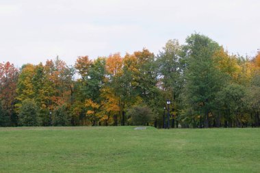 Şehir parkında sonbahar manzarası. Ağaçlar renkli sonbahar yaprakları gösteriyor..