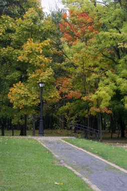 Parkta kirli bir patika ve eski bir fener. Ağaçlar renkli sonbahar yaprakları gösteriyor..