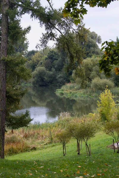 秋天的公园里有一条河 这条河在树林中看得见 五彩缤纷的秋叶躺在草坪上 — 图库照片