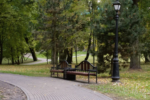 Старовинна Лавка Міському Парку Дерева Показують Барвисте Осіннє Листя — стокове фото