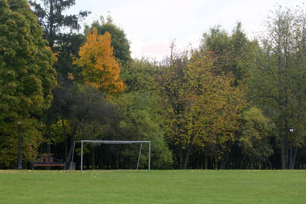 Filet Football Dans Parc Municipal Les Arbres Montrent Des Feuilles — Photo