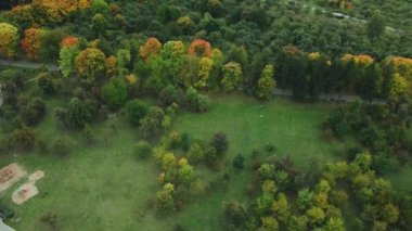 Bulutlu havada sonbahar parkı üzerinde uçuş. Sarı sonbahar yapraklı ağaçlar görülebilir. Hava fotoğrafçılığı.