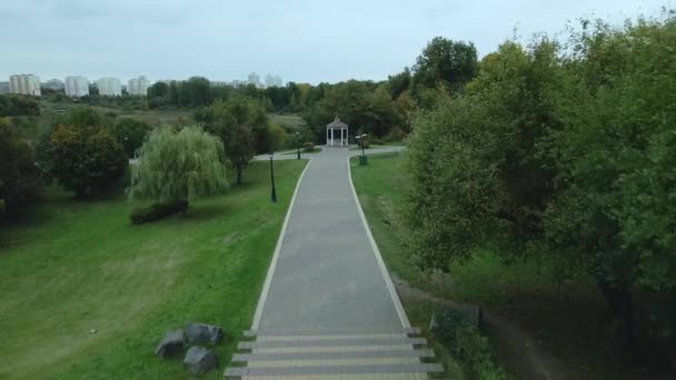 Flyging Høstparken Tåkete Vær Trær Med Gule Høstblader Synlige Flyfoto – stockvideo