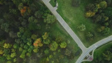 Bulutlu havada sonbahar parkı üzerinde uçuş. Sarı sonbahar yapraklı ağaçlar görülebilir. Hava fotoğrafçılığı.