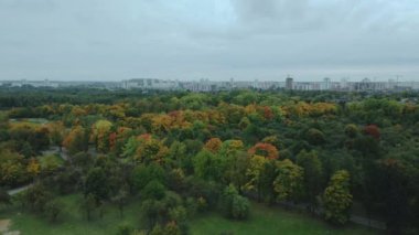 Bulutlu havada sonbahar parkı üzerinde uçuş. Sarı sonbahar yapraklı ağaçlar görülebilir. Hava fotoğrafçılığı.