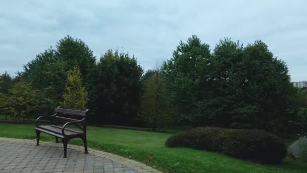 Voo Sobre Parque Outono Tempo Nublado Árvores Com Folhas Outono — Vídeo de Stock