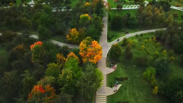 Bulutlu Havada Sonbahar Parkı Üzerinde Uçuş Sarı Sonbahar Yapraklı Ağaçlar — Stok video