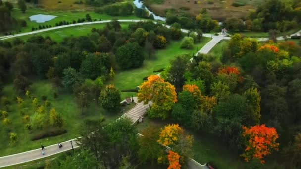 Полет Над Осенним Парком Облачную Погоду Видны Деревья Жёлтыми Осенними — стоковое видео