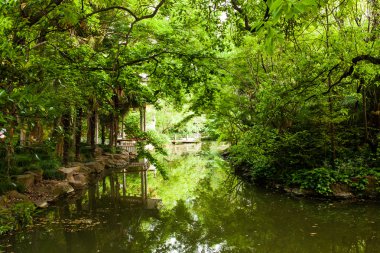 Gölet tarafından Çin çardak