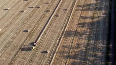 Şili 'nin tarlalarında çalışmak