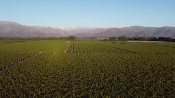 Widok Nieba Krajobraz Chile — Wideo stockowe