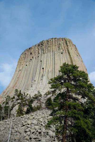 Wyoming Devils Tower National Monument Tree Foreground — Stock Photo, Image