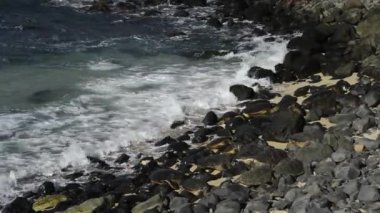 Maui, Hawaii. Ho 'okipa Plaj Parkı. Hawaii yeşil deniz kaplumbağasının (Chelonia mydas) üzerine düşen bir dalga plajda dinlenirken.