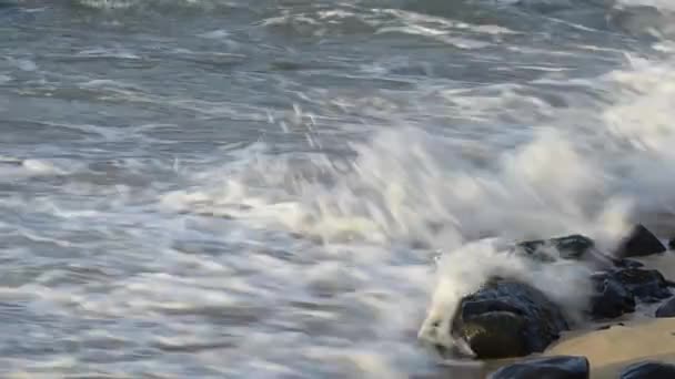 ハワイのマウイ ホオキパ ビーチ公園 日没時にビーチで休息した後 ハワイの緑のウミガメ チェロニア ミダス が海に戻る — ストック動画