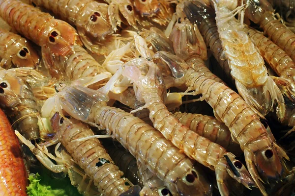 Fisk marknad-Mantis räkor (Squilla Mantis) — Stockfoto