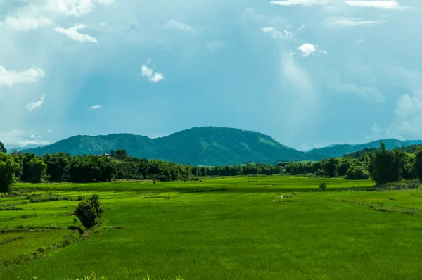 Landscape in Phonsavan — 图库照片