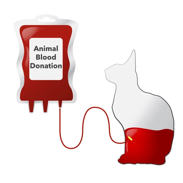 Conceito de doação de sangue animal com gotejador e gato, illus vetorial —  Vetores de Stock