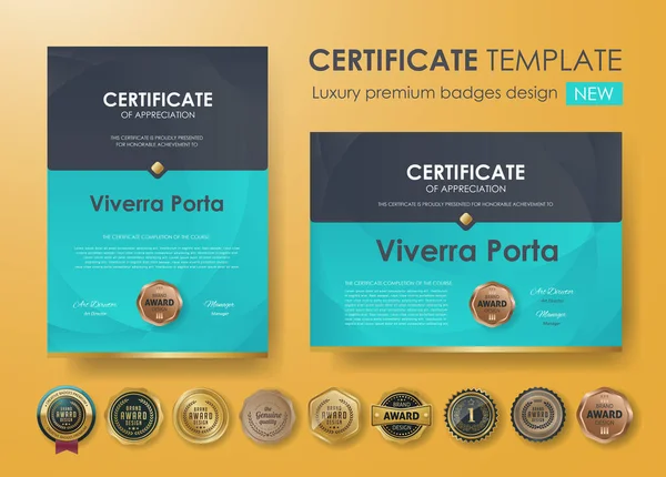 Modelo Diploma Certificado Premium — Vetor de Stock