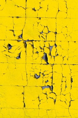 Ön cephenin gri alçılı bir parçası soyulmuş sarı boyanın altından süzülüyor..