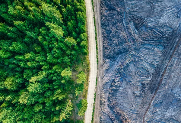 Ormana yakın inşaat alanı, havadan çekim.