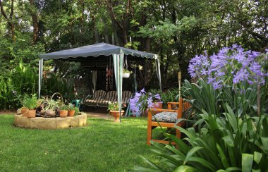 agapanthus ile Afrika Bahçe