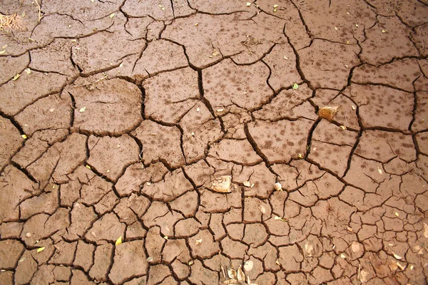 Lecho del río reseca tres — Foto de Stock