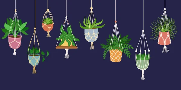 Planta macrame escandinava. Decoração de interiores casa Boho. Isolado em fundo escuro. Ilustração desenhada à mão vetorial. —  Vetores de Stock