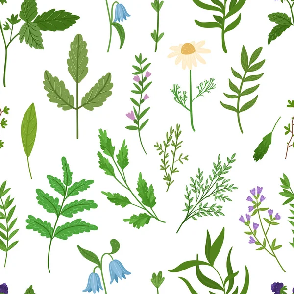 Vilda örter sömlöst mönster. Tecknad blad, bruncher, blommor, kvist på vit bakgrund. Vektor handritad illustration. — Stock vektor