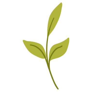 Düz şekilli şirin yeşil yaprak.