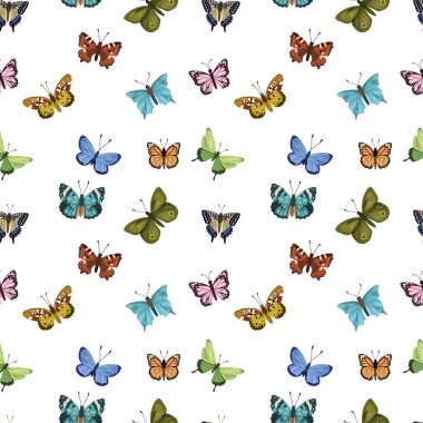 Kelebek desensiz bahar ve yaz zamanı