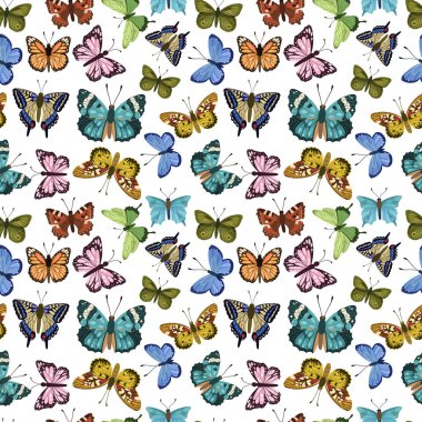 Kelebek vektörü kusursuz desen. El çizimi