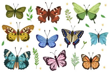 Çeşitli yaprak ve dallarla kelebek vektör koleksiyonu