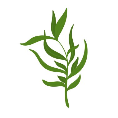 Yeşil doğal bitkilerin vektör tasarımcısı unsurları