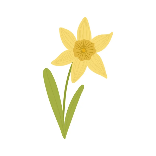 Słodki narcyz w kreskówkowym stylu, wiosenny kwiat czasu — Wektor stockowy