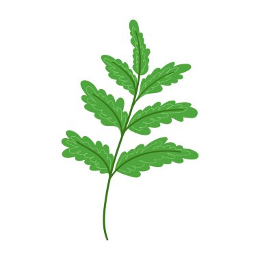 Yeşil orman yaprağının vektör tasarımcısı unsurları