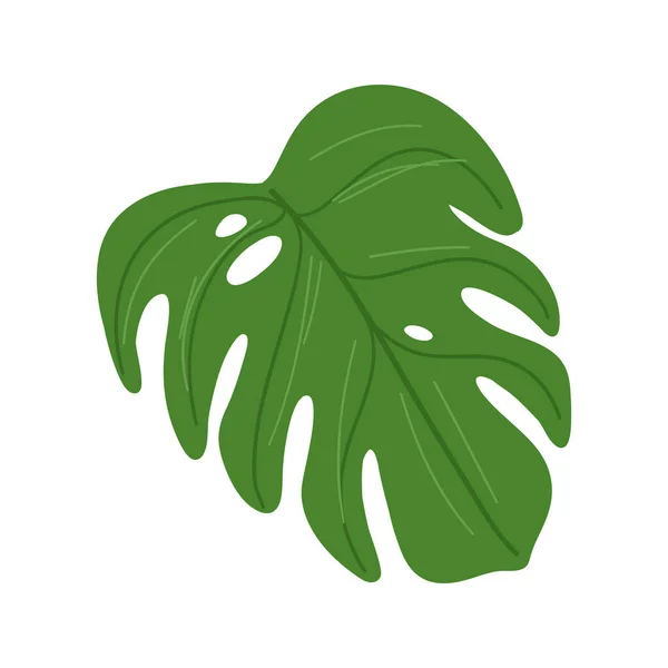 Monstera exótico vetor de folha tropical — Vetor de Stock