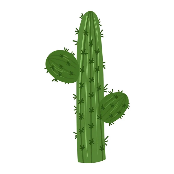 Kaktus eksotis. Tangan vektor digambar - Stok Vektor