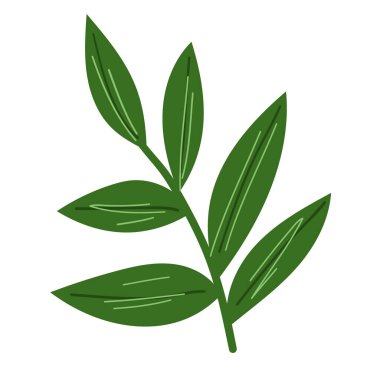 Yeşil çizgi film yaprağı. Bitki vektörü