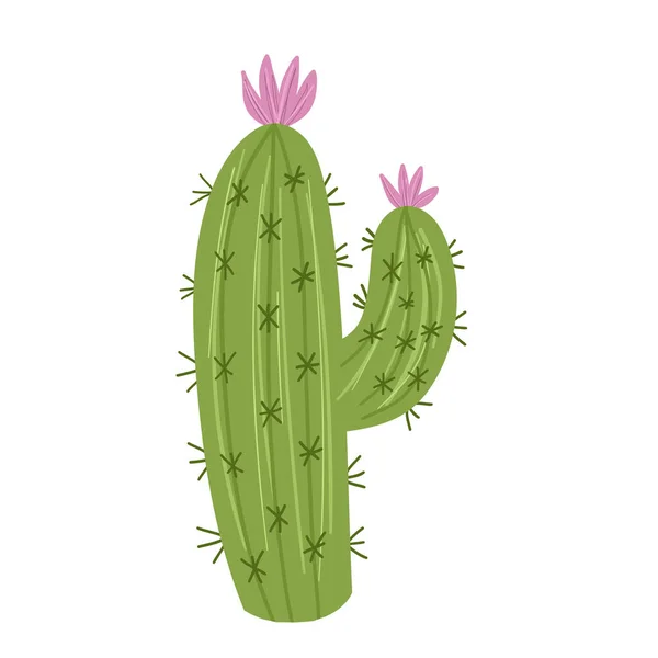 Kaktus eksotis dengan bunga merah muda. - Stok Vektor