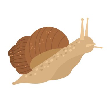 Kahverengi kabuklu şirin bir salyangoz. Vektör el çizimi çizgi film