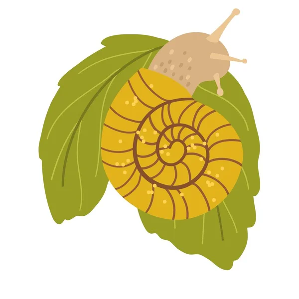 Leuke slak in een schelp in gele kleur op groene bladeren. Vector hand getrokken cartoon — Stockvector