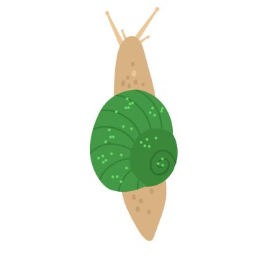 Yeşil kabuklu şirin bir salyangoz. Vektör el çizimi çizgi film