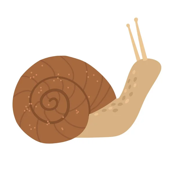 可爱的蜗牛在一个褐色的壳里 矢量手绘卡通画 — 图库矢量图片
