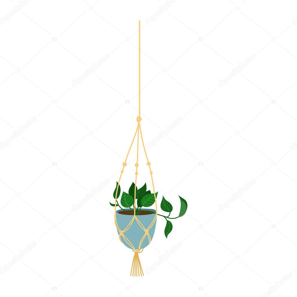Flower in a macrame pot,modern Scandinavian style, interior decor. Hanging plants.Vector hand drawn cartoon llustration