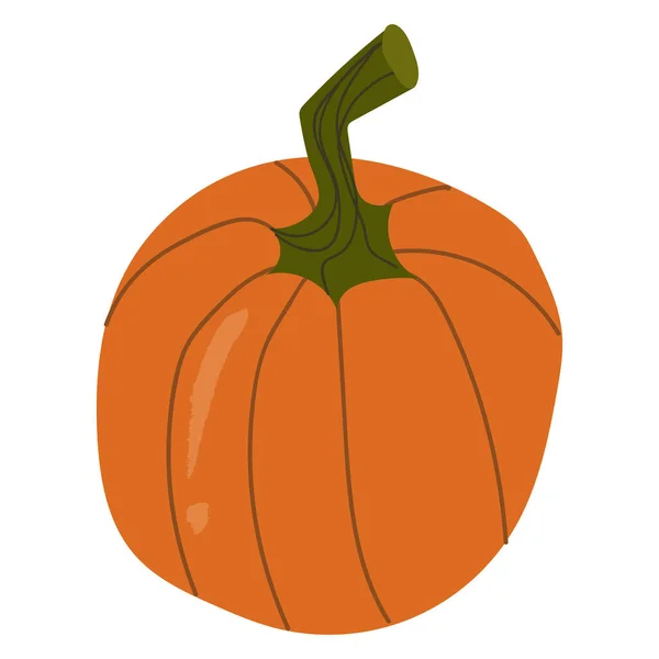 Pomerančová celá dýně, podzimní dekorativní. — Stockový vektor