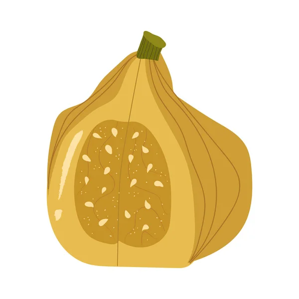 Mitades amarillas calabaza, decorativo otoñal.Vector dibujado a mano — Archivo Imágenes Vectoriales