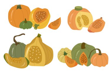 Renkli balkabağı kompozisyonları, sonbahar sebzeleri ve dilimler..